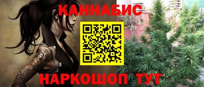 прущие грибы Нальчик