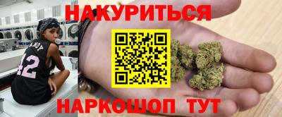 прущие грибы Нальчик