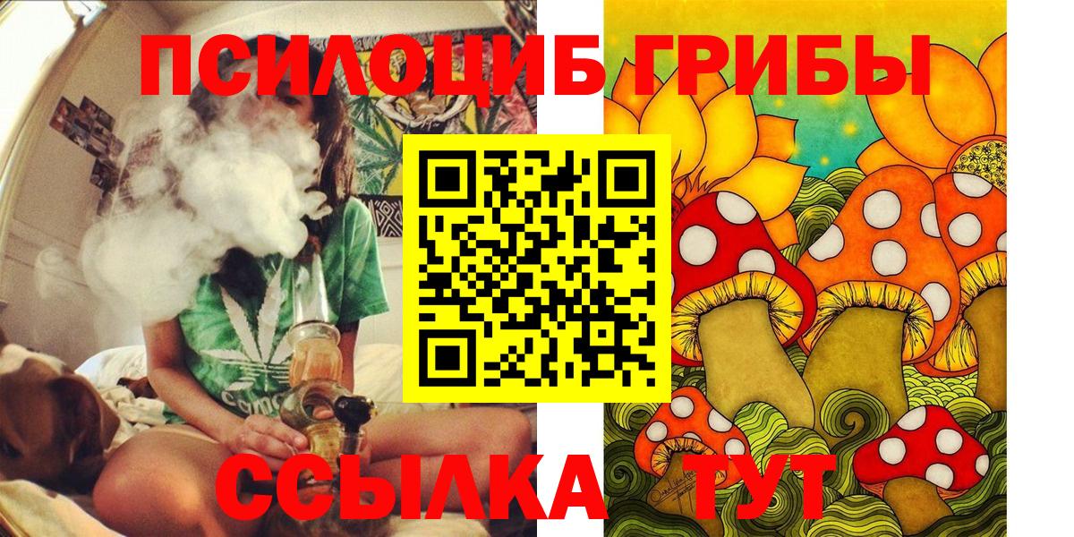 Псилоцибиновые грибы Cubensis Ялуторовск