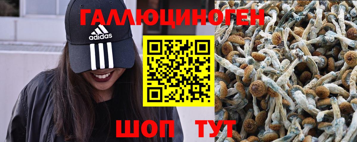 Галлюциногенные грибы прущие грибы  Вход с VPN  Ялуторовск 