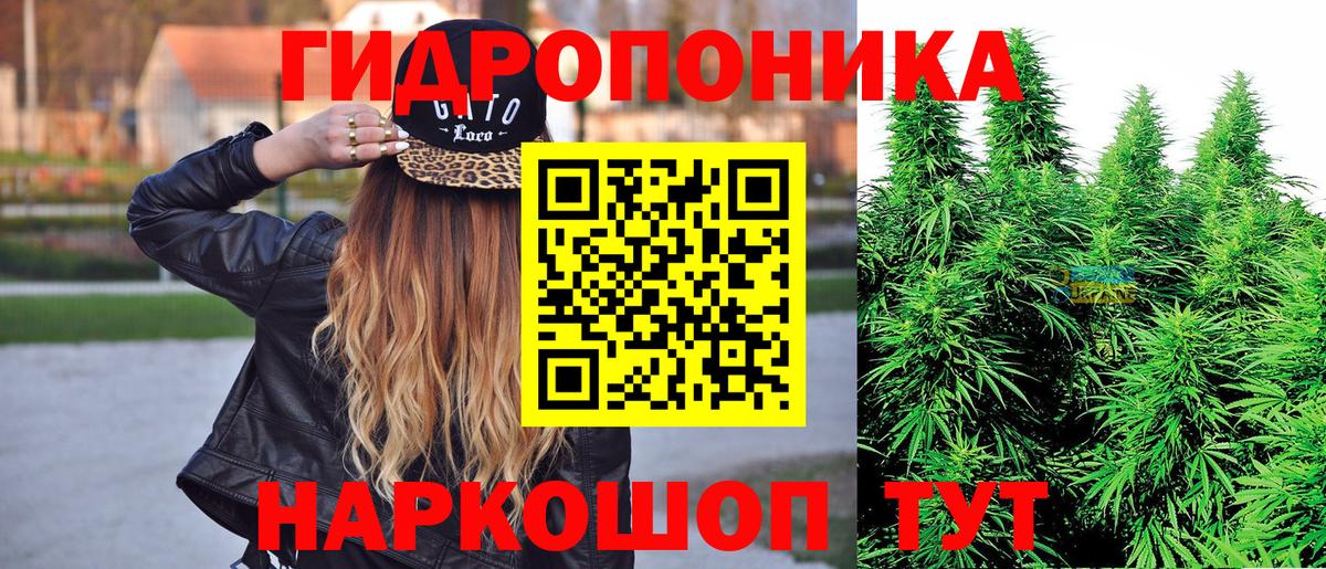Бошки марихуана AK-47  Шишки марихуана AK-47  Вход с VPN  Бошки Шишки план  Ялуторовск 